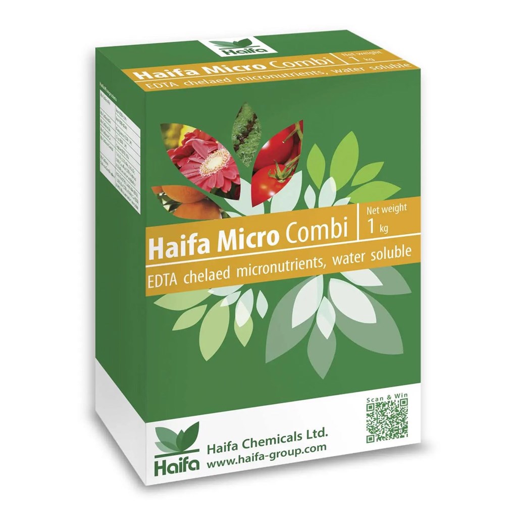 MICRO COMBI PS HAIFA - KG. 1